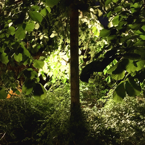 Exogenesis (Apr 2016)