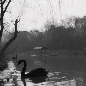 破茧（prod by wellwell）