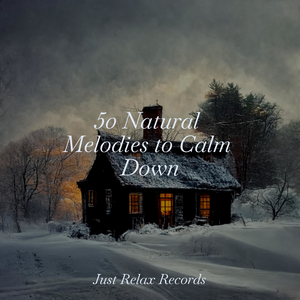 Harmonic Salvation's Dance