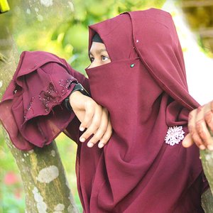 Holudiya Pakhi (2024 Edition)