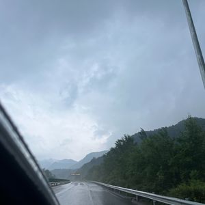 机械雨林心跳