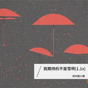 我期待的不是雪啊(1.1x)