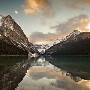 阿尔兹海默的爱