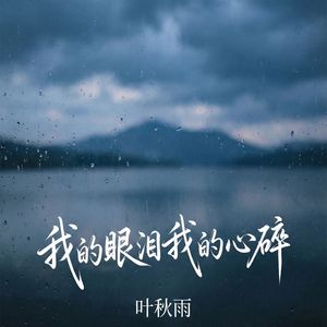 我的眼泪我的心碎