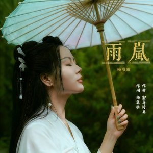 雨岚-独白.mp3