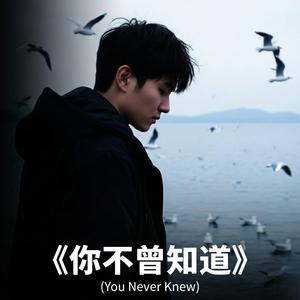 You Never Knew 《你不曾知道》