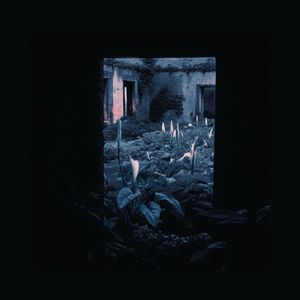 憎悪（ぞうお）