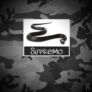 Supremo