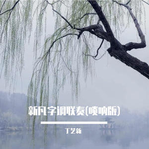 新版凡子调（DJ唢呐版）