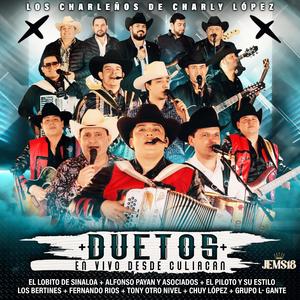 Versos Pa Un Buen Amigo (En vivo)