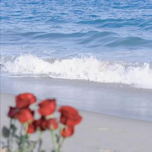 【Free】“想和你去海边” RnBxPopx抒情 Type Beat