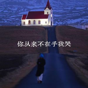 你从来不在乎我哭