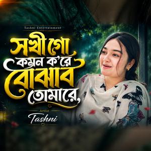 সখী গো কেমন করে বোঝাব তোমারে
