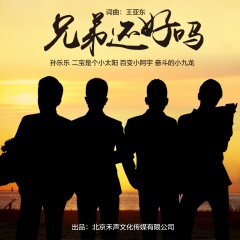 兄弟还好吗 (DJ版)