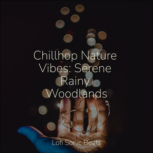 Echoes of Broken Wings