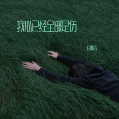 我心已经全部是伤