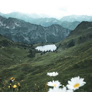 众生皆草木，唯你是青山