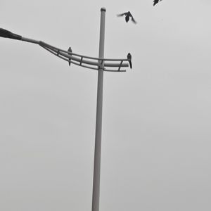 关于交叉比喻和梦