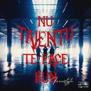 NU TALENTU TE FACE BUN FREESTYLE (feat. NDG & Neph)