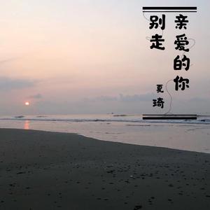 亲爱的你别走 夏琦