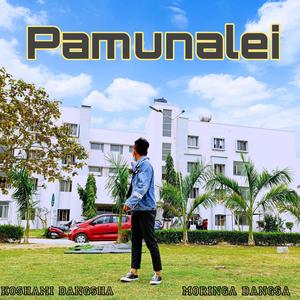Pamunalei (feat. Moringa Dangsa)