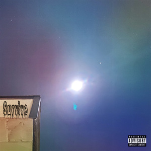 Survive (feat. DILL)