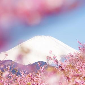 樱花demo（prod by red killer）