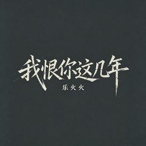 我恨你这几年（我才不要回头）