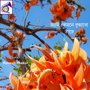 কেনবা দোষ