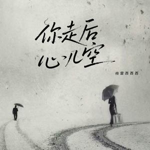 你走后心儿空 (DJ加速版)