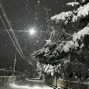 下载您的文件 — Convertio