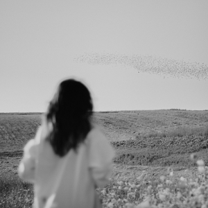 我喜欢你，可却说不出口。