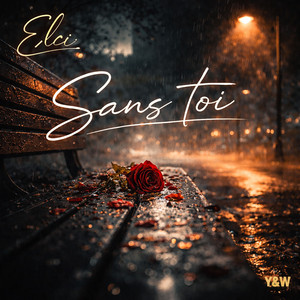 Sans toi