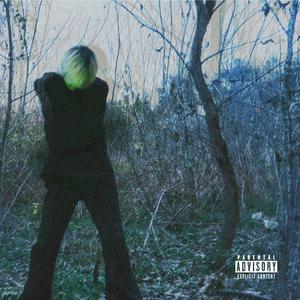 i don't need your love