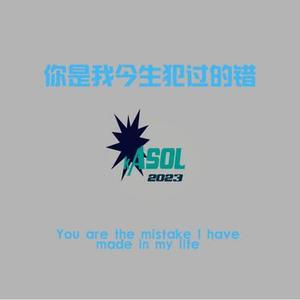 你是我今生犯过的错