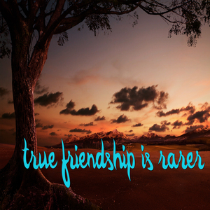 True Friendship Is Rarer