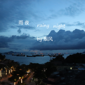雨夜(rainy night)