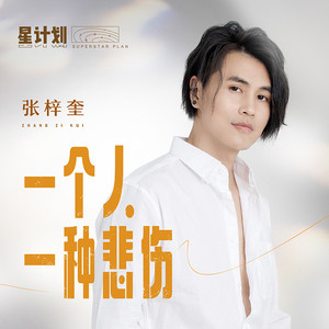 一个人一种悲伤