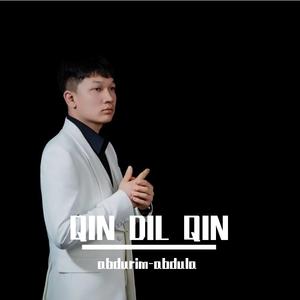 QIN DIL QIN