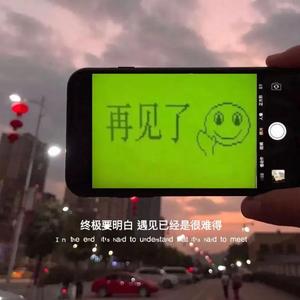 妓和不如（DJ一穿版）