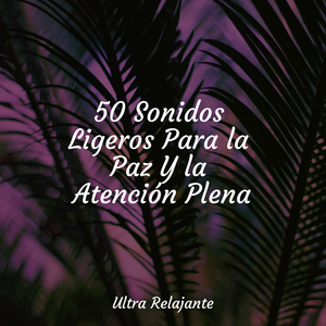 Bienaventurada Armonía