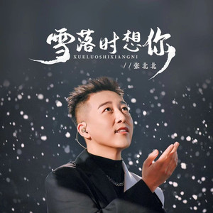雪落时想你