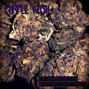 Purple Kush