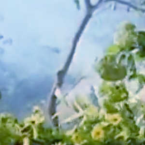 席地幕天君但醉