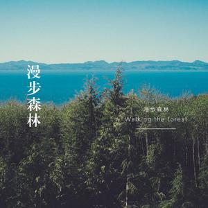 漫步森林