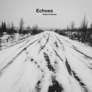 Echoes