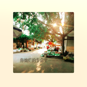 你灿烂的生命里