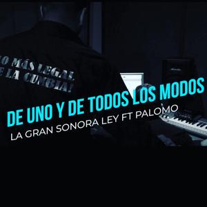 De uno y de todos los modos (feat. Grupo Palomo)