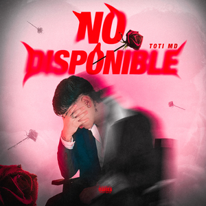 No Disponible