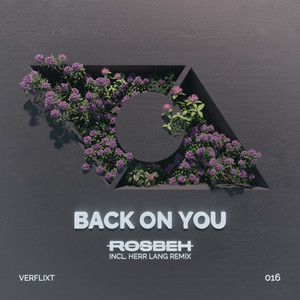 Back on You (Herr Lang Remix)